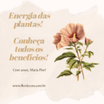Energia das Plantas